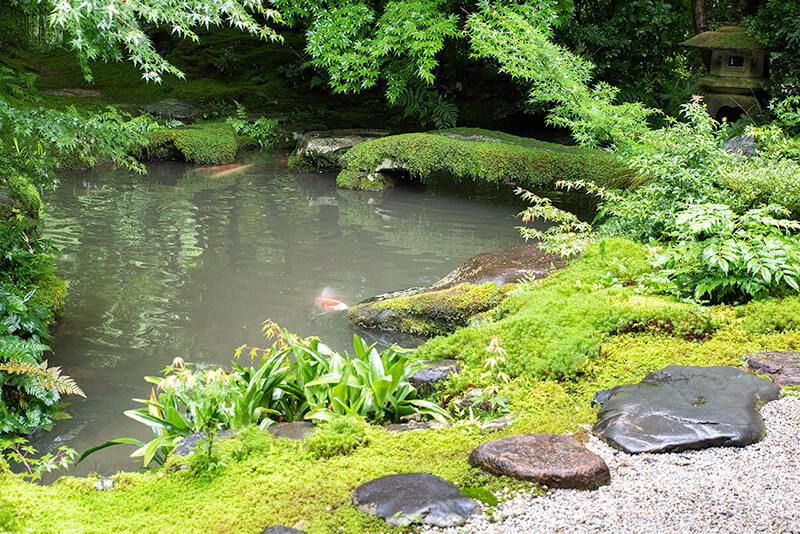 臥龍の庭　石橋