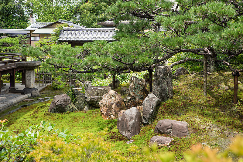 安土桃山時代に作庭された方丈前庭
