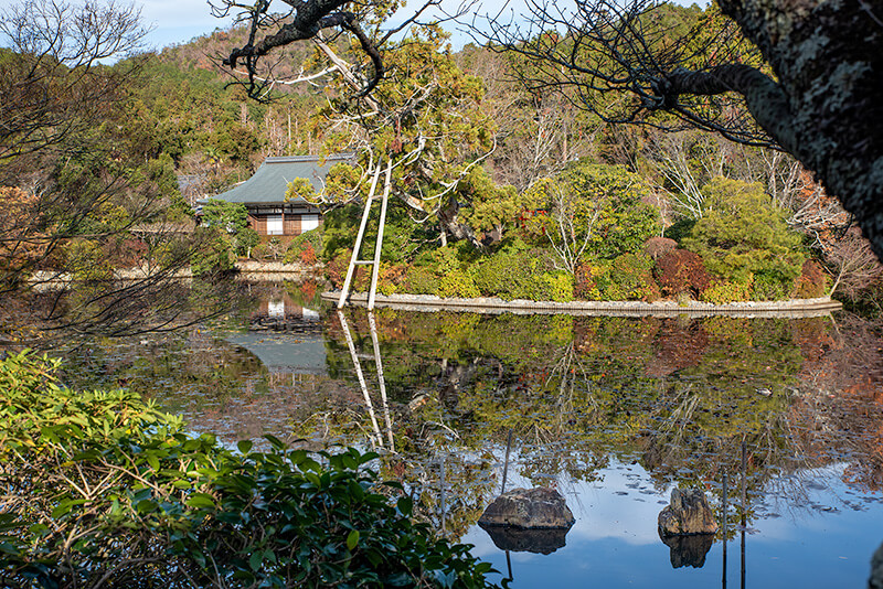 鏡容池
