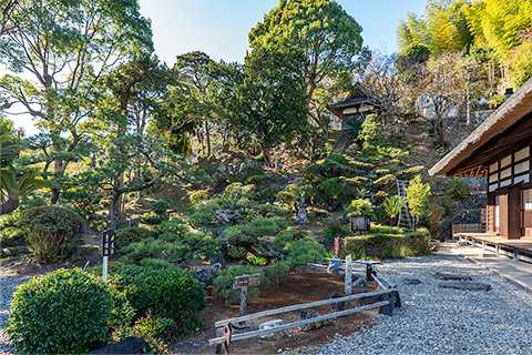 龍華寺 観富園