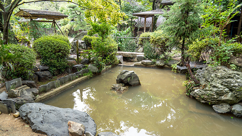 池泉には岩島を配している