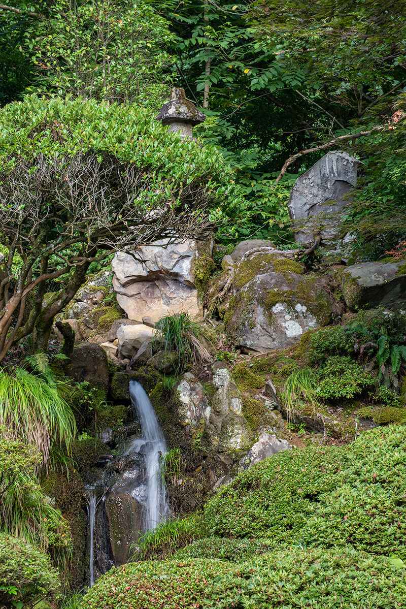 手持ち撮影