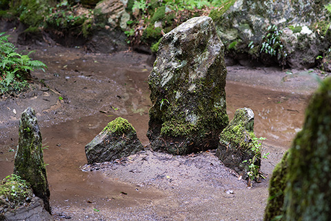 龍蔵寺　雪舟庭園（流水の庭）