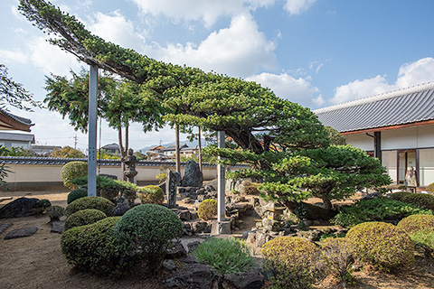 西教寺