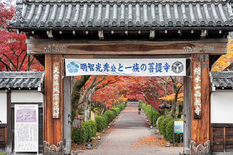 西教寺　総門