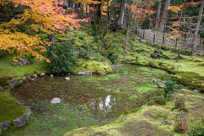 苔庭と池泉