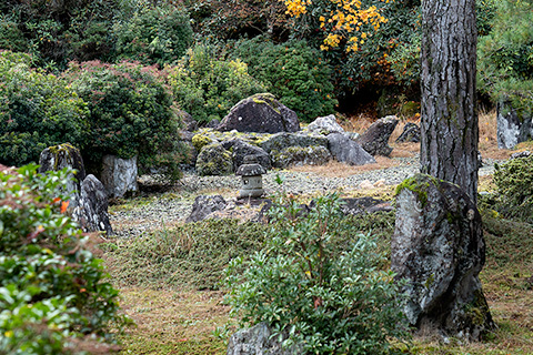 西南院