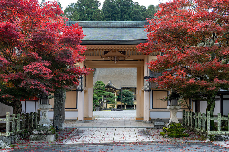 山門