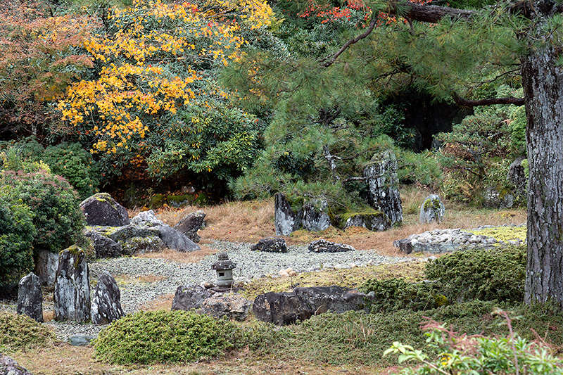 西南院　池泉回遊式庭園