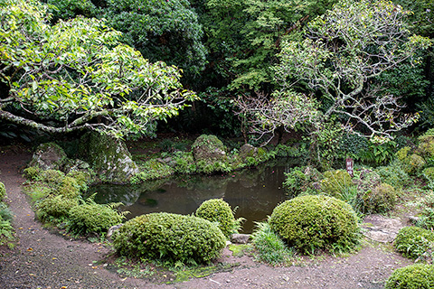 吐月峰 柴屋寺庭園