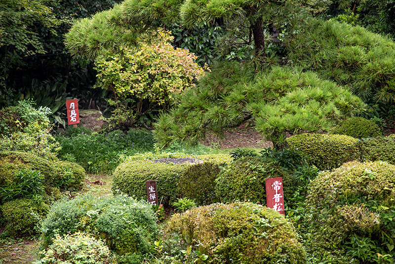 「月見石」と「座禅石