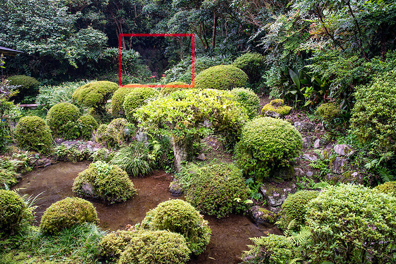 茶室に面した池泉庭園