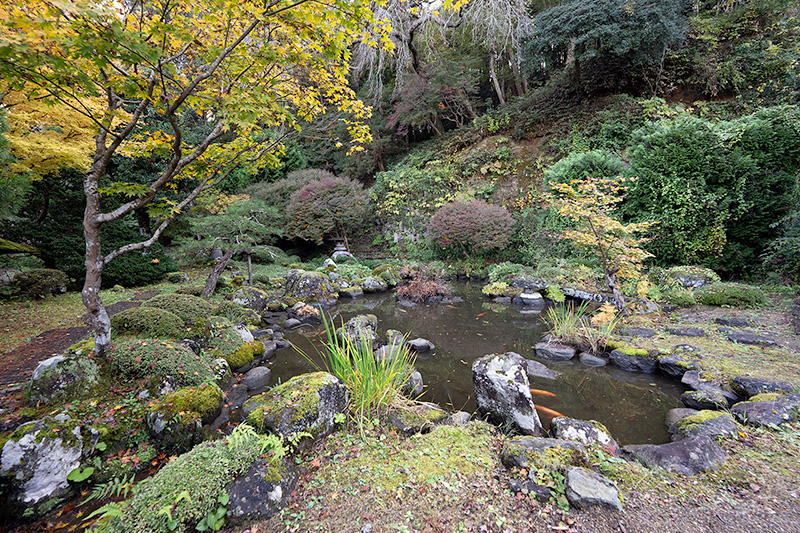 上段の池泉