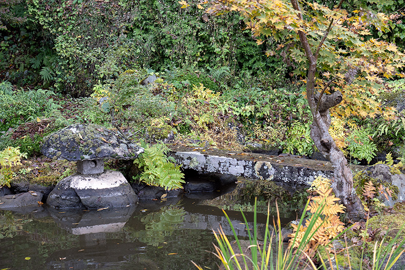 上段の池泉