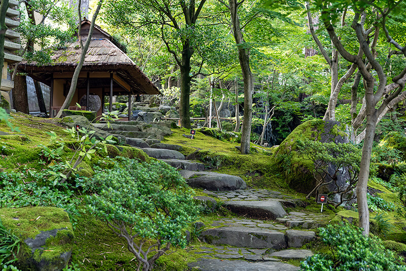 田舎屋