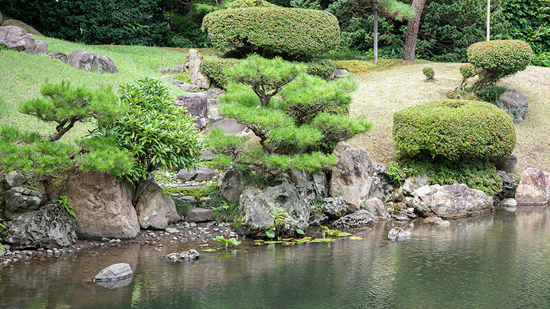 枯滝