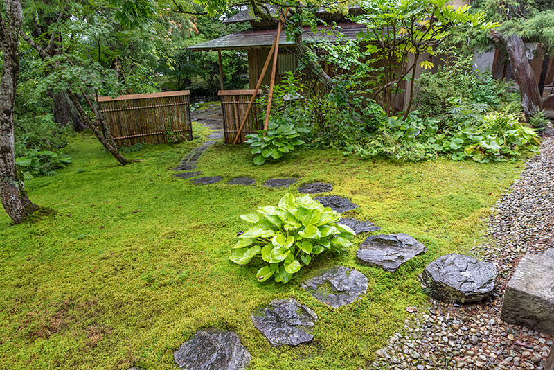 主屋からの写真
