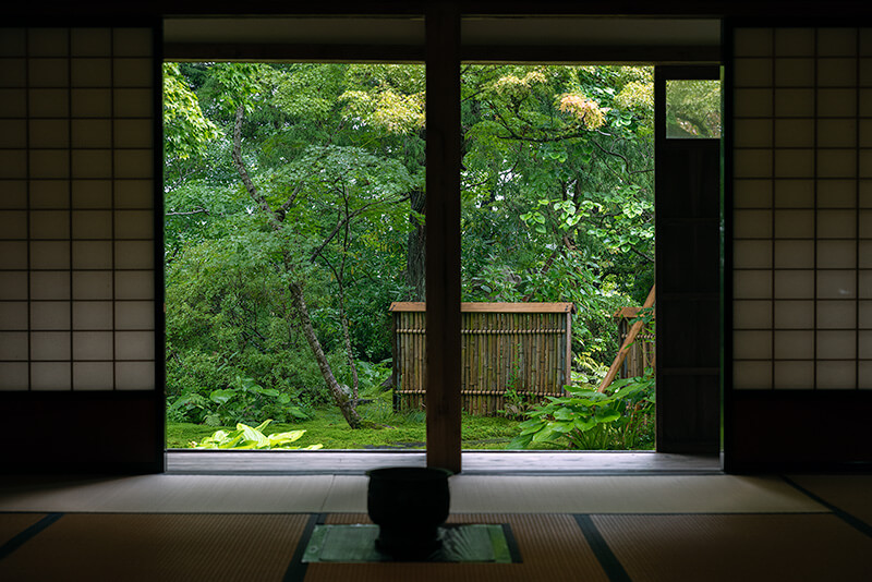主屋から額縁庭園を撮影