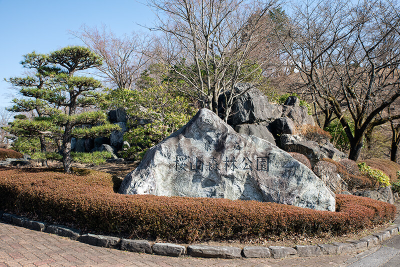 桜山公園