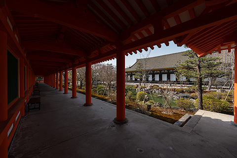三十三間堂　東庭
