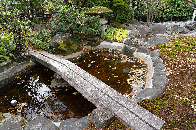 池泉