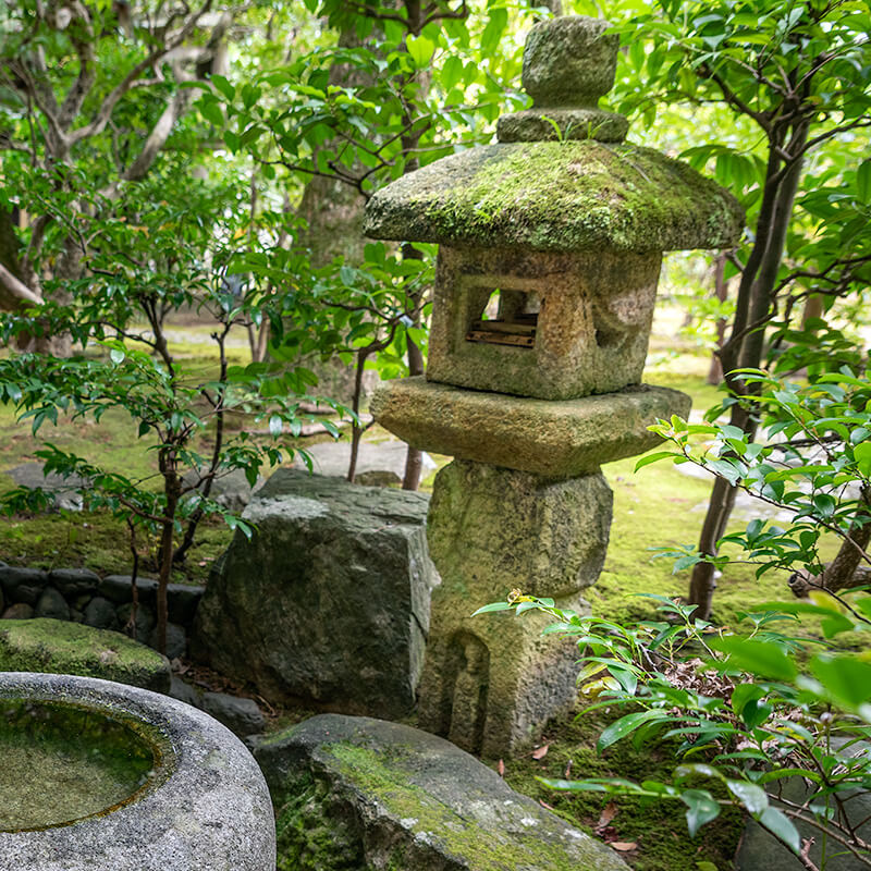 露地にある生込み灯籠