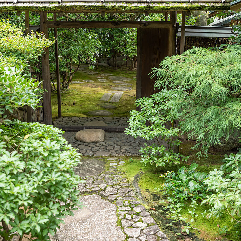 中門をくぐって中露地へ