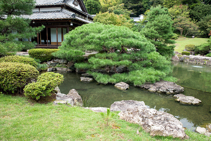 山水園の池泉庭園