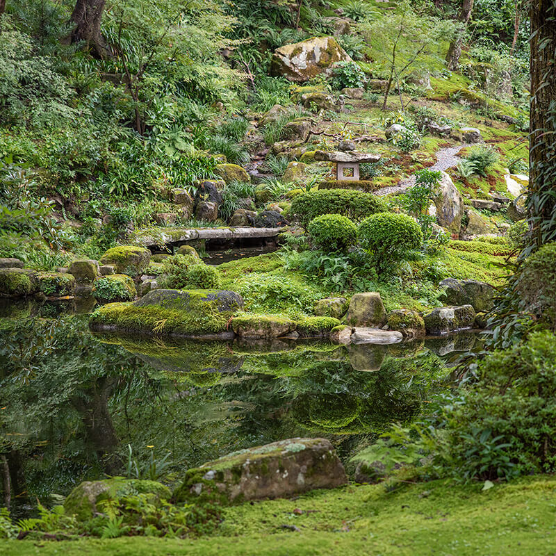 有清園　枯滝石組