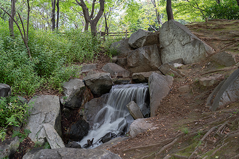 猿江恩賜公園