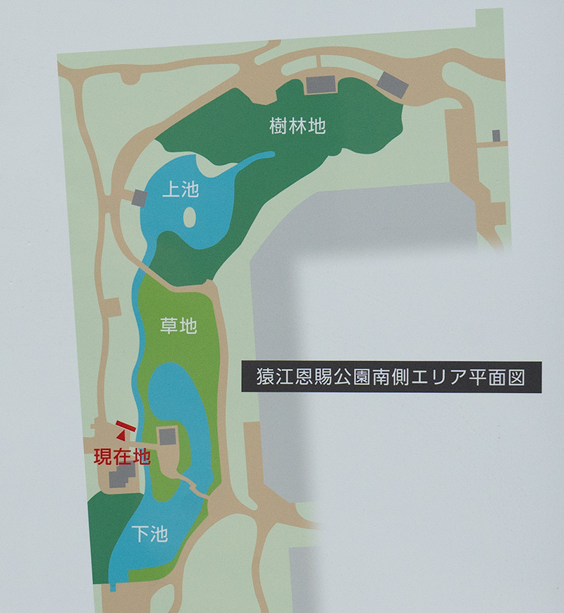 猿江恩賜公園の南側エリアの案内図