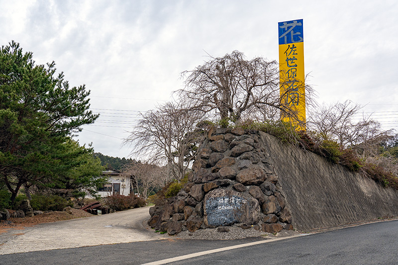 佐世保花園　入口