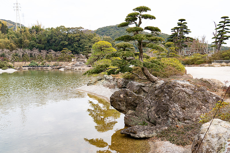 亀を模した岩