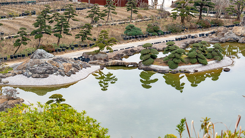 松の出島を見下ろす