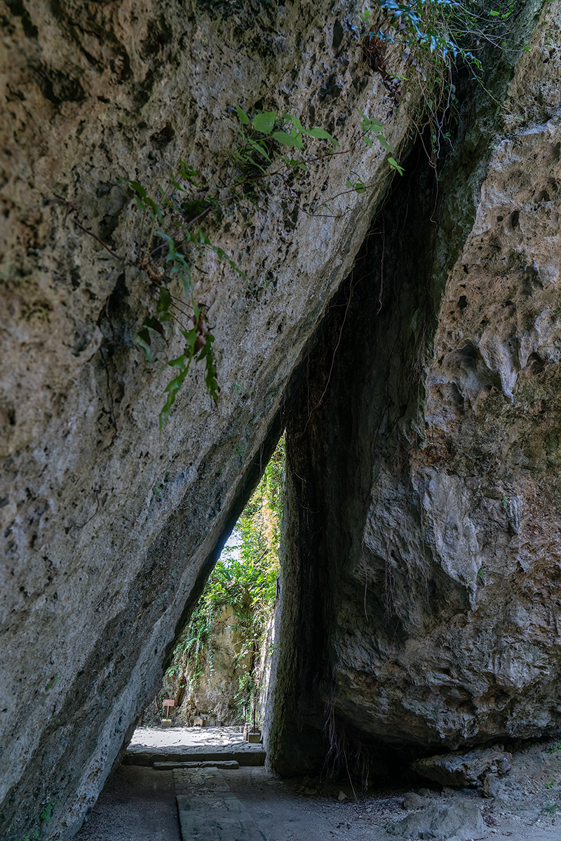 三庫理