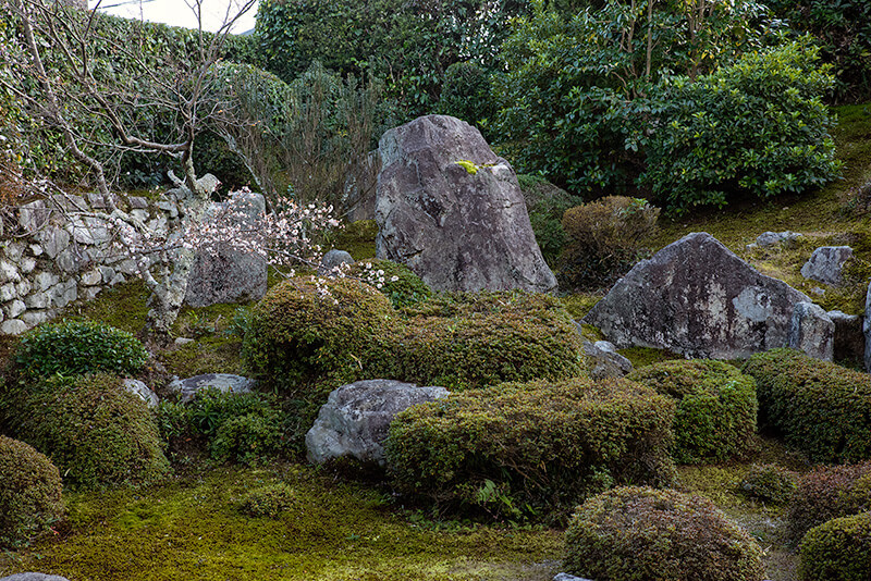 蓬莱山