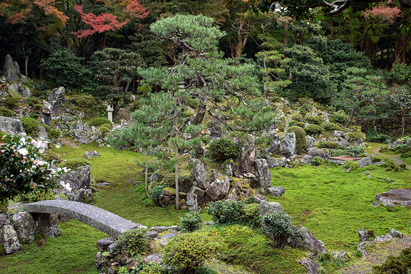 動き出しそうな鶴亀島