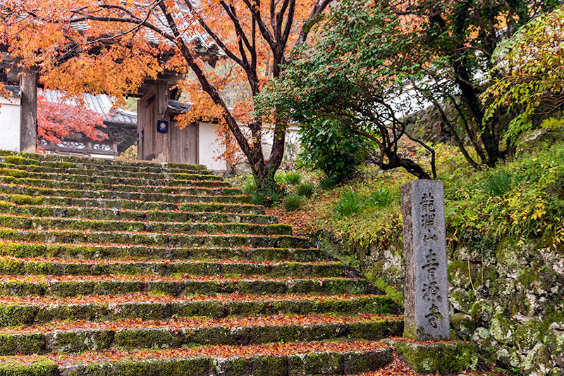 青源寺山門