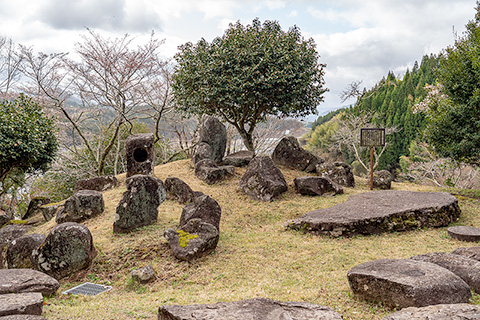 栖鳳楼庭園