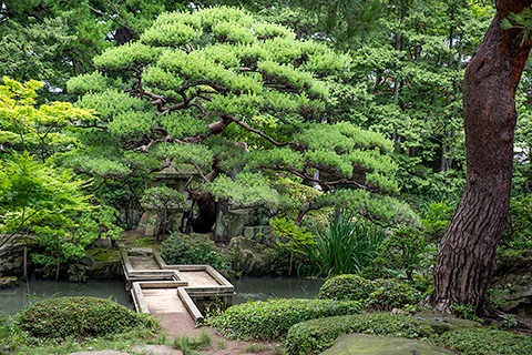 清亀園