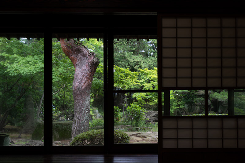 赤松の額縁庭園