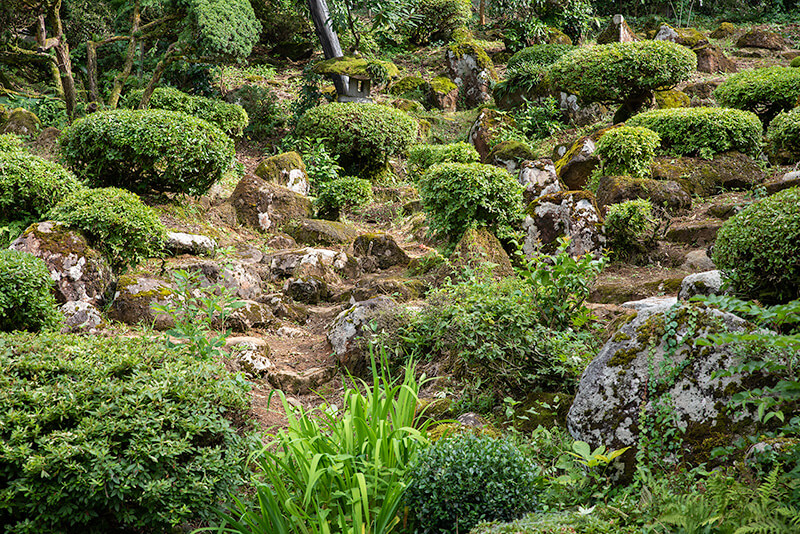植栽がもっと少ない方が魅力的。