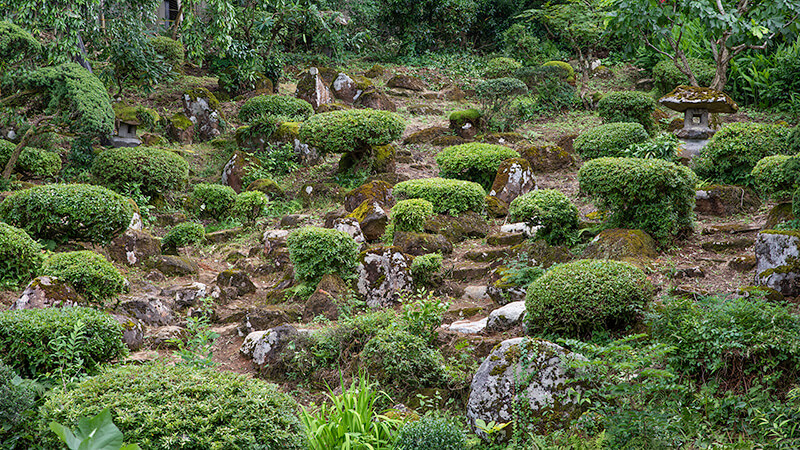 座敷右手から庭園を望む