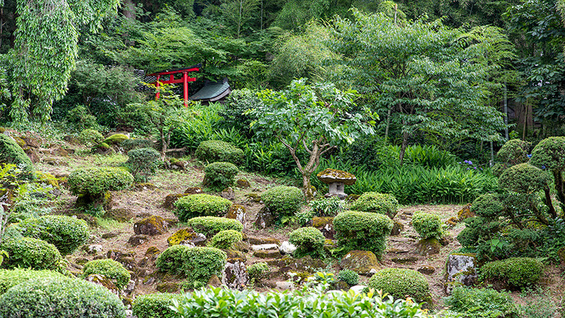 山上に鳥居がある