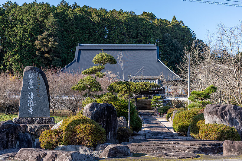 清薗寺　参道と本堂