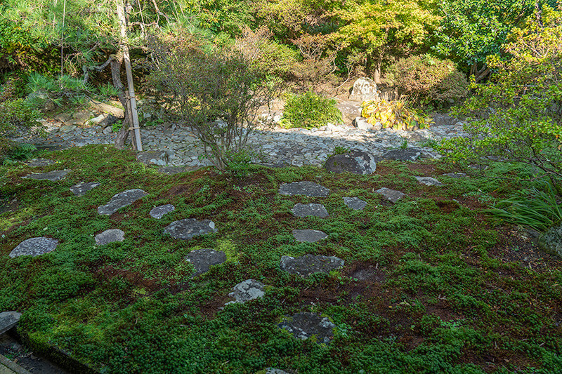 苔の平庭