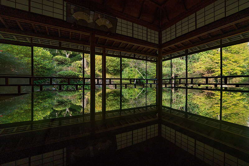 床もみじ
