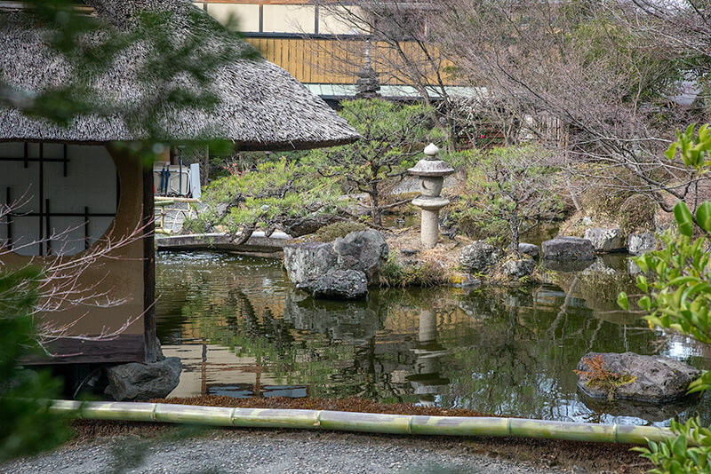 沢飛石