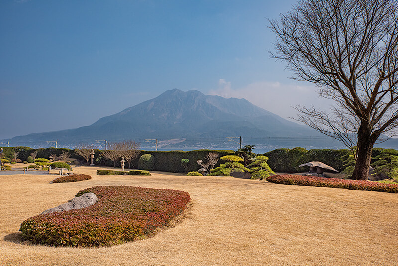 庭園越しに桜島を眺める
