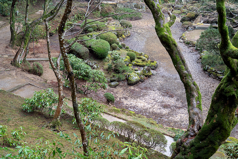 池泉庭園を見下ろす